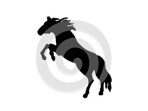 Dark horse silhouette