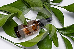 Dark jar of natural collagen serum with water drops on green leaf. Protector skin, treatment facial essence oil, cosmetic product photo