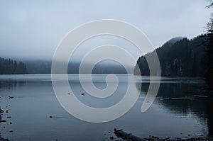 Dark lake in the fog in winter