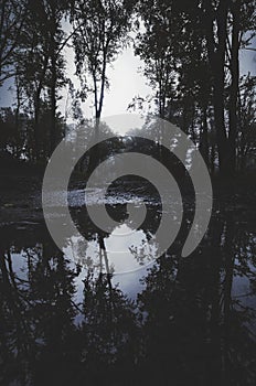 Dark lake at night in the forest with reflection