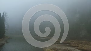 Dark landscape. Clip.Thick fog over a cold lake and forest and bare slightly green trees.