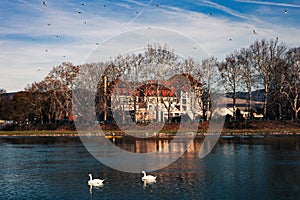 Dark landscape photo of Piestany city in Slovakia with swans on the blue river and hotel on background on sunset.  Castle on