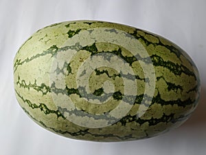 Dark and Light Green Striped Big Whole Fruit of Water Melon  on white Background