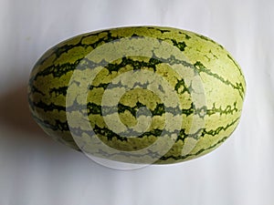 Dark and Light Green Striped Big Whole Fruit of Water Melon  on white Background