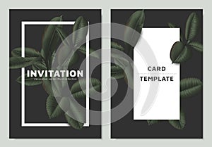 Dark matte green Ficus Elastica leaves with white frame on dark background, invitation card template