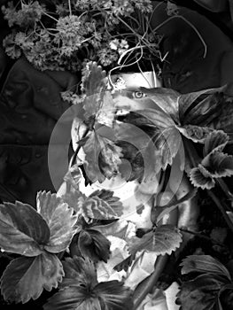 dark monochrome gothic image an old dirty vintage baby doll with a creepy scary eye staring through leaves and plants on a dark
