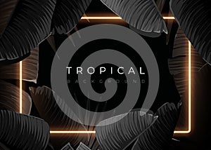 Dark monochrome tropical design with exotic banana leaves, soft neon frames and space for text. Vector summer template