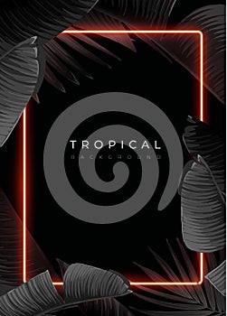 Dark monochrome tropical design with exotic banana leaves, soft neon frames and space for text. Vector summer template