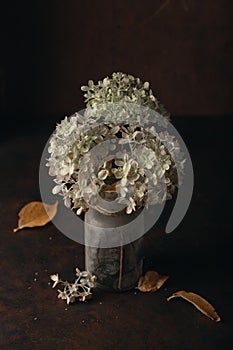 Dark moody faded autumn Hydrangea flower, brown fall plants decay