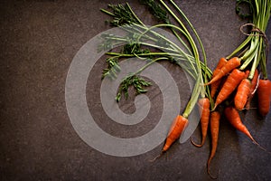 Dark moody food image of fresh carrot - still life photography.