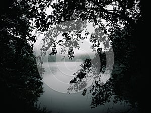 Dark Cinematic moody lake under the tree