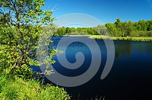 Dark moor lake in the green