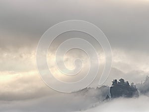 Dark  mountain forest landscape. Misty fantastic forest