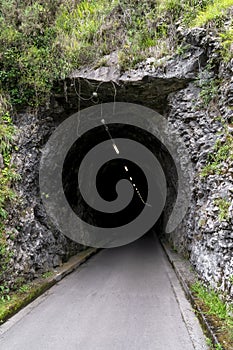 Dark mountain tunnel in the rock with a road and lamps. Overgrown with greenery