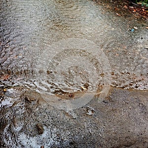 A dark, murky puddle of rainwater sits on a muddy ground, with ripples and debris indicating recent rainfall photo