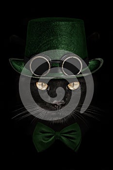 Dark muzzle cat  in green hat with canned glasses  and tie butte
