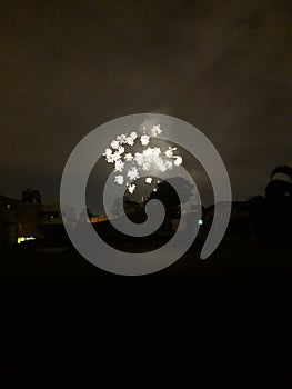 Dark night city fireworks HD