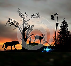 Dark night forest landscape with silhouettes of wild animals and trees