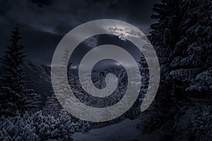 Dark night view in Tatra Mountains