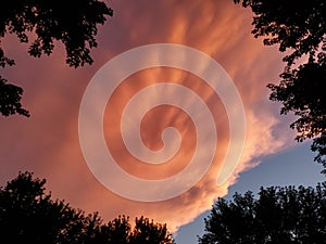 Dark nights in the south