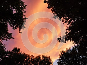 Dark nights in the south