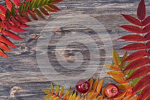 Dark old wooden background with beautiful bright multicoloured autumn leaves arranged in a frame. Vintage fall mockup