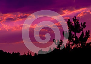 Dark orange color sunset clouds photo with silhouette of pine forest