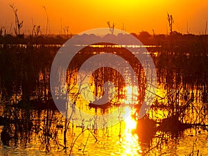 Dark Orange sunset reflecting on Zambezi river.