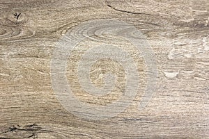 Dark Organic Wood Texture. Light Wooden Background. Old Washed Wood