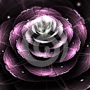 Dark pink fractal flower