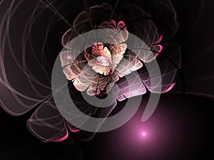 Dark pink fractal flower