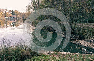 Landscape with water and trees