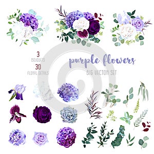 Dark purple garden rose, plum orchid, white and violet rose, lil