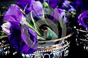 Dark Purple Lisianthus Flowers