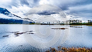 Dark rain clouds over Pitt-Addington Marsh Nature Reserve near PItt Lake near Maple Ridge, British Columbia, Canada