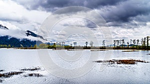 Dark rain clouds over Pitt-Addington Marsh Nature Reserve near PItt Lake near Maple Ridge, British Columbia, Canada