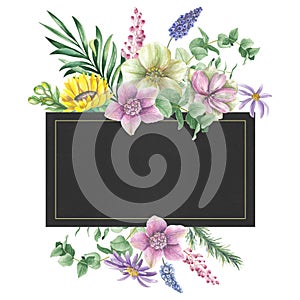 Dark rectanle floral frame with sunflower, hellebores, muscari flowers. Watercolor hand drawn illustration