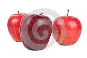 The dark red apple in front of the lighter colored apples.
