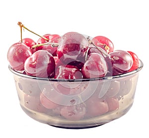 Dark-Red cherries in a brown transparent bowl, isolated, white background