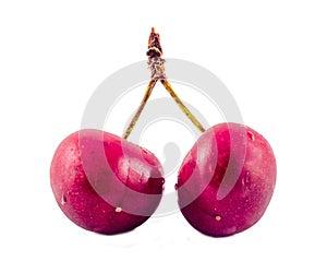 Dark-Red cherries, isolated, white background