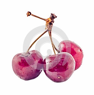 Dark-Red cherries, isolated, white background