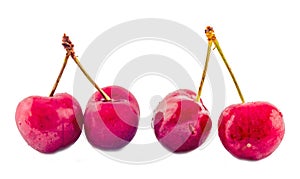 Dark-Red cherries, isolated, white background