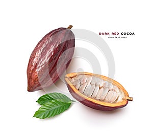 Dark red cocoa pods with half sliced