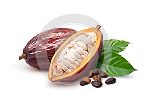 Dark red cocoa pods with half sliced and beans