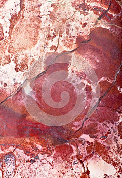Dark red jasper texture closeup