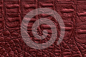 Dark red leather texture background, closeup. Wine reptile skin fabric, macro