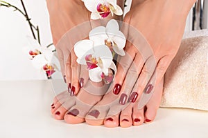 Dark Red Manicure and Pedicure with Orchid Flower