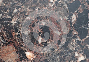 Dark red marble with large black blotches and white veins, close-up of a polished flat surface of natural stone