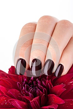 Dark red nail polish.