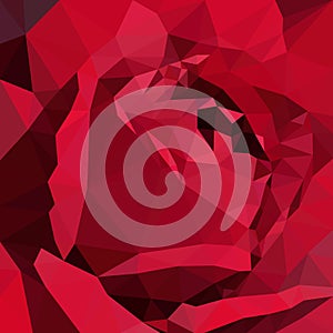 Dark red rose flower wallpaper on black background. Purple flora plant geometric banner graphic. Magenta low polygon backdrop.